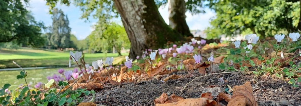 La Mayenne par Nature La Mayenne par Nature